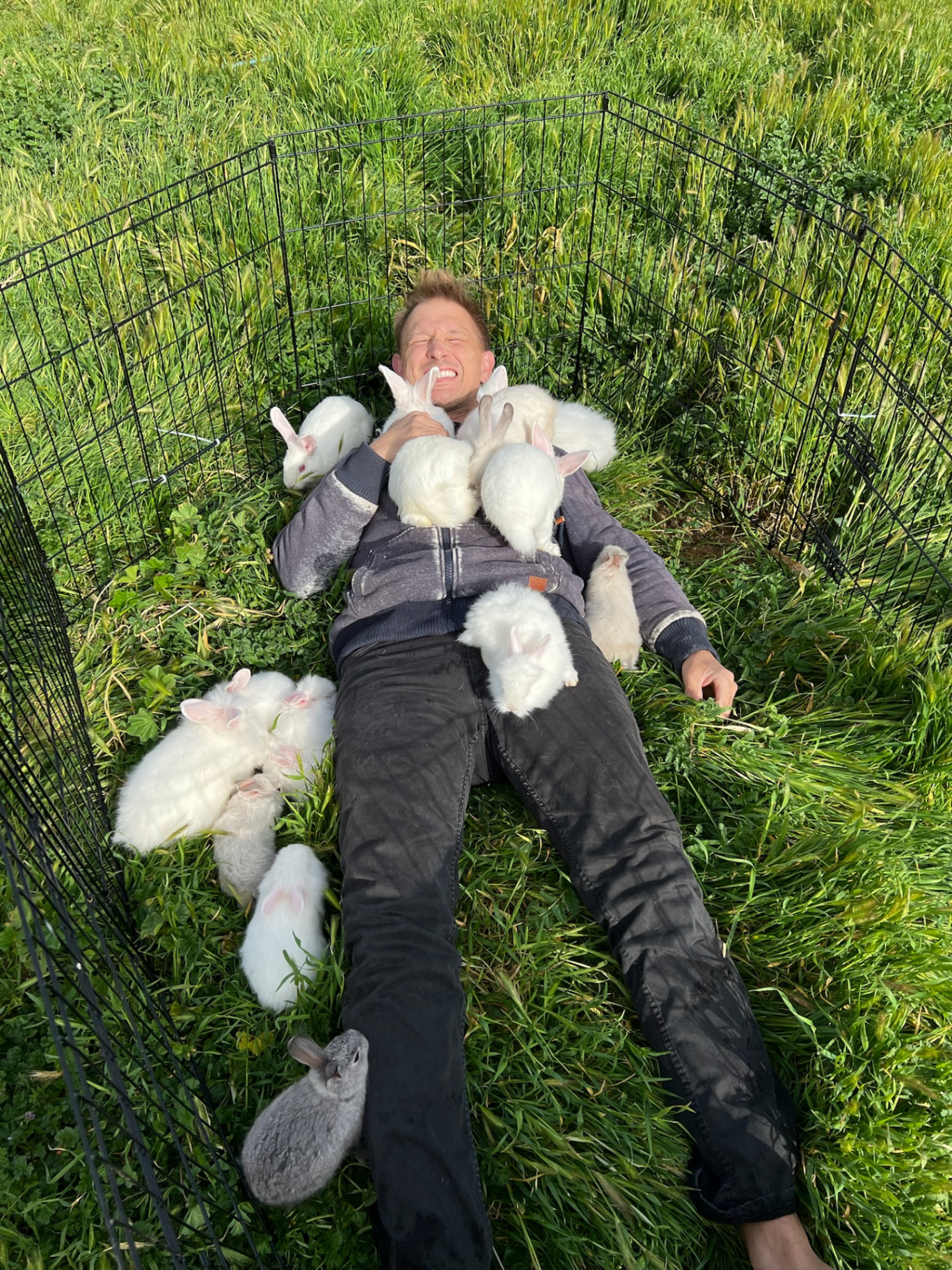 Gentle hands resting beside a rabbit on a sage green blanket
